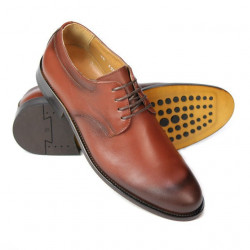 Pantofi eleganti barbati 839 a coniac