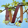 Curea dama 07m biz bordo