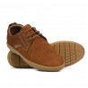 Mocasini barbati 871 bufo maro