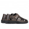 Sandale barbati 344 tuxon tdm (Testa di moro)