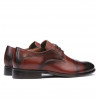 Pantofi eleganti barbati ( marimi mari) 822m a coniac