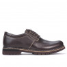 Pantofi casual barbati 895 cafe