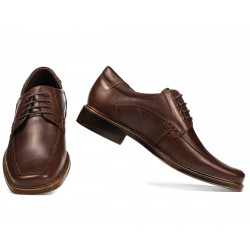 Pantofi eleganti barbati 790 maro
