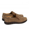 Mocasini barbati 953 bufo capucino