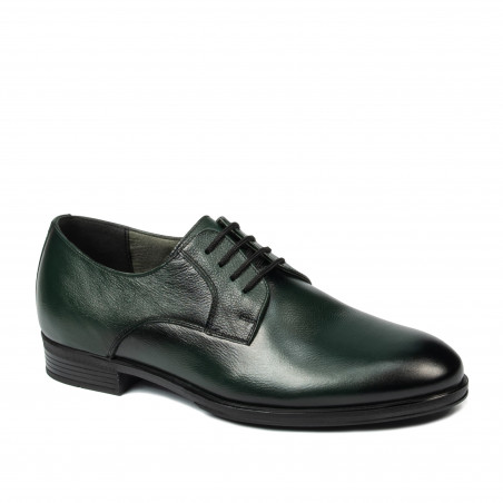 Pantofi eleganti barbati 958 a verde